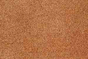 Ковролин AW Scent 84 фото  | FLOORDEALER